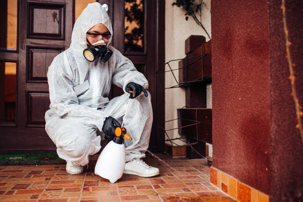 Reliable Wasp Removal contractor in Tuckerton, NJ by Show Me Pest Control